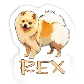 Rex Autocollant Spitz allemand Image