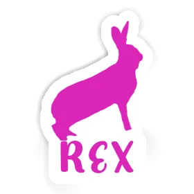 Rex Autocollant Lapin Image