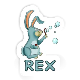 Rex Autocollant Lapin Image