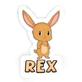 Rex Autocollant Lapin de Pâques Image