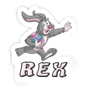 Autocollant Rex Lapin de rugby Image
