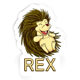 Autocollant Hérisson Rex Image
