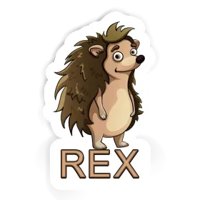 Hérisson Autocollant Rex Image