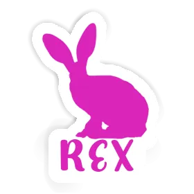 Rex Autocollant Lapin Image