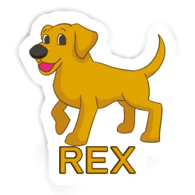 Rex Autocollant Chien Image