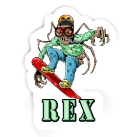 Boarder Sticker Rex Image