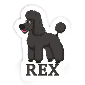Rex Aufkleber Pudel Image