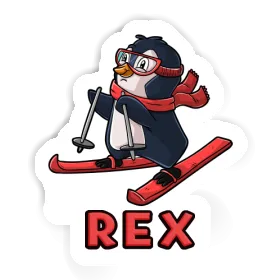 Rex Sticker Skifahrerin Image