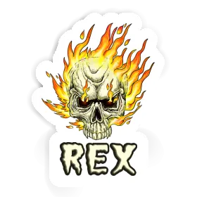 Rex Sticker Totenkopf Image