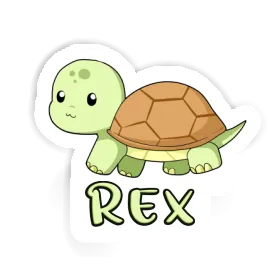 Sticker Schildkröte Rex Image