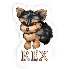 Autocollant Terrier Rex Image