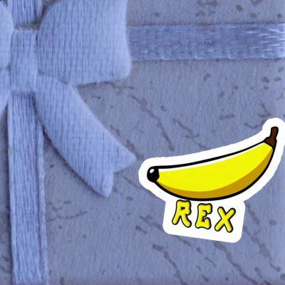 Rex Sticker Banana Notebook Rex Sticker Banana Gift package Image