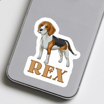 Rex Autocollant Beagle Rex Autocollant Beagle Image