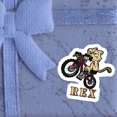 Chat à vélo Autocollant Rex Notebook Chat à vélo Autocollant Rex Gift package Image