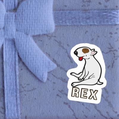 Sticker Rex Terrier Notebook Sticker Rex Terrier Gift package Image