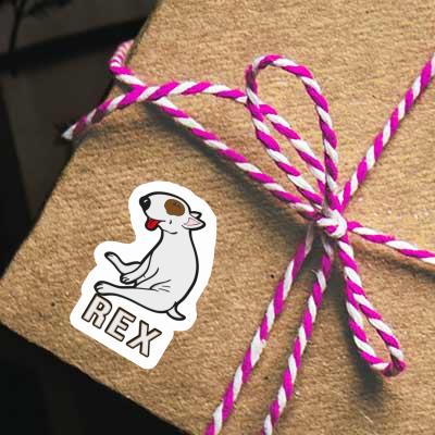 Sticker Rex Terrier Notebook Sticker Rex Terrier Notebook Image