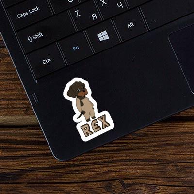 Rex Sticker German Wirehaired Rex Sticker German Wirehaired Image