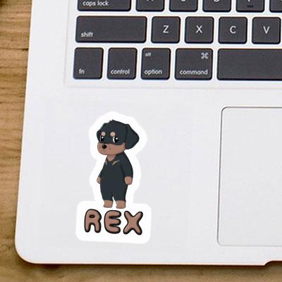 Sticker Rex Rottweiler Laptop Sticker Rex Rottweiler Laptop Image