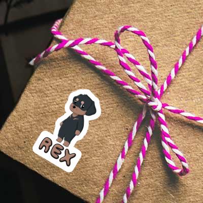 Sticker Rex Rottweiler Notebook Sticker Rex Rottweiler Gift package Image