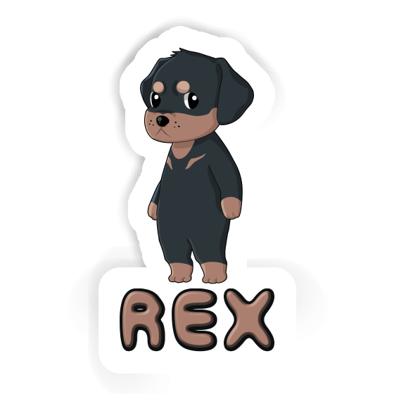 Sticker Rex Rottweiler Sticker Rex Rottweiler Image