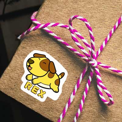 Chien Autocollant Rex Gift package Image