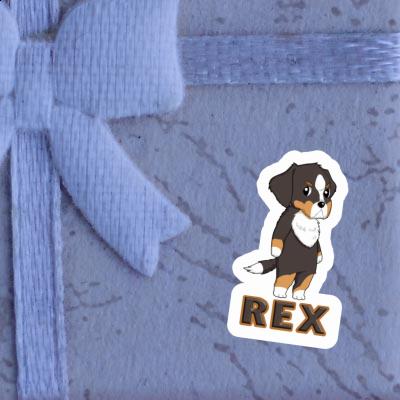 Rex Sticker Bernese Mountain Dog Notebook Rex Sticker Bernese Mountain Dog Notebook Image