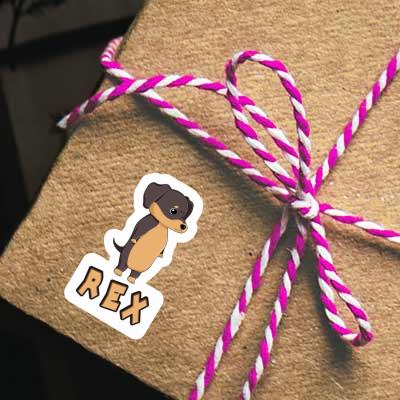Rex Sticker Dachshund Gift package Image