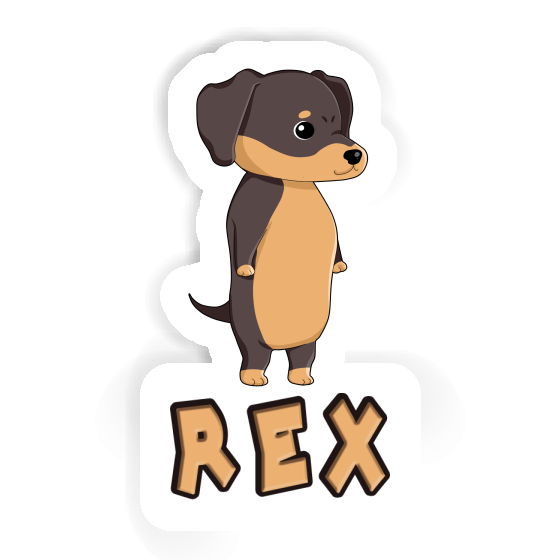Rex Sticker Dachshund Notebook Image