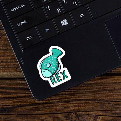 Rex Autocollant Poisson Laptop Rex Autocollant Poisson Laptop Image