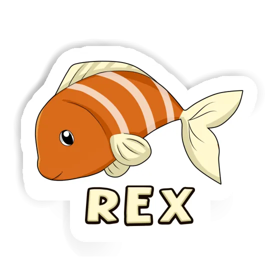 Autocollant Poisson Rex Notebook Autocollant Poisson Rex Gift package Image
