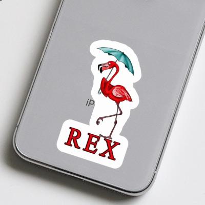 Rex Aufkleber Flamingo Notebook Rex Aufkleber Flamingo Gift package Image