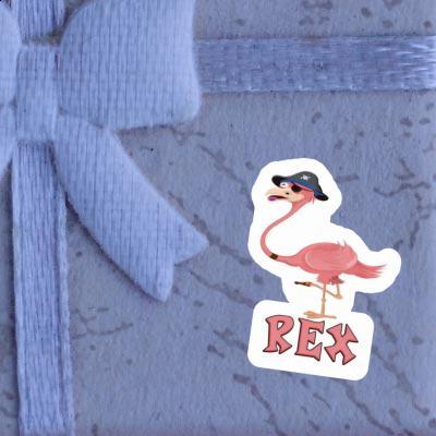 Autocollant Rex Flamant Gift package Image