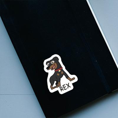Aufkleber Pinscher Rex Image
