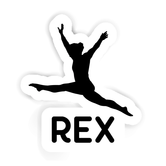 Gymnaste Autocollant Rex Notebook Gymnaste Autocollant Rex Gift package Image