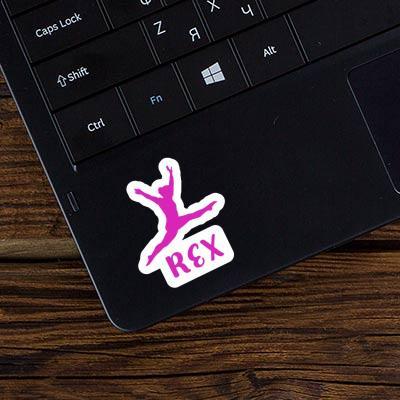 Sticker Gymnastin Rex Notebook Image