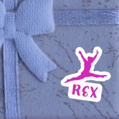 Sticker Gymnastin Rex Notebook Sticker Gymnastin Rex Gift package Image