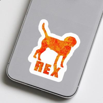 Dog Sticker Rex Laptop Dog Sticker Rex Laptop Image