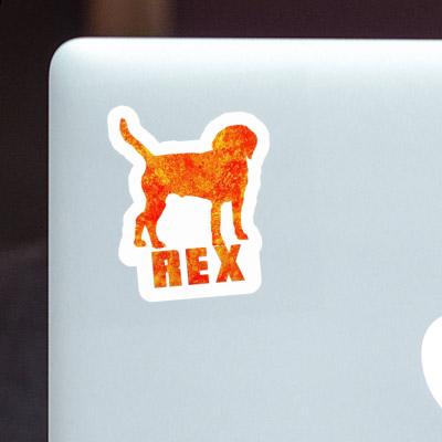 Dog Sticker Rex Notebook Dog Sticker Rex Gift package Image