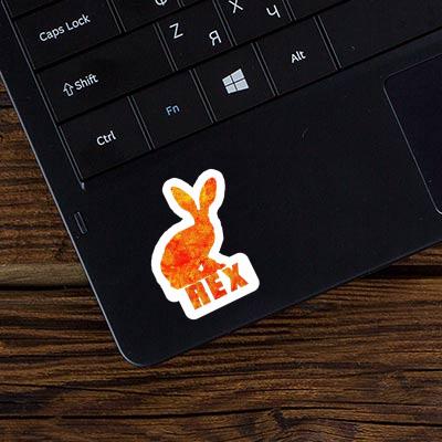Autocollant Lapin Rex Notebook Image