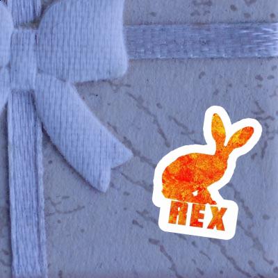 Autocollant Lapin Rex Laptop Image