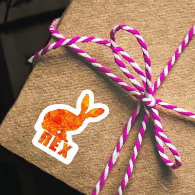 Autocollant Lapin Rex Laptop Autocollant Lapin Rex Laptop Image