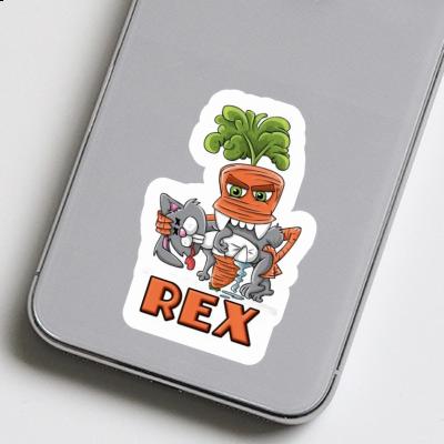 Sticker Monster Carrot Rex Laptop Image