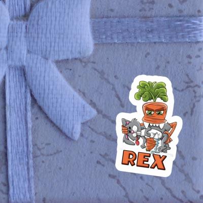 Sticker Monster Carrot Rex Gift package Image