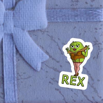 Kiwi Autocollant Rex Laptop Image