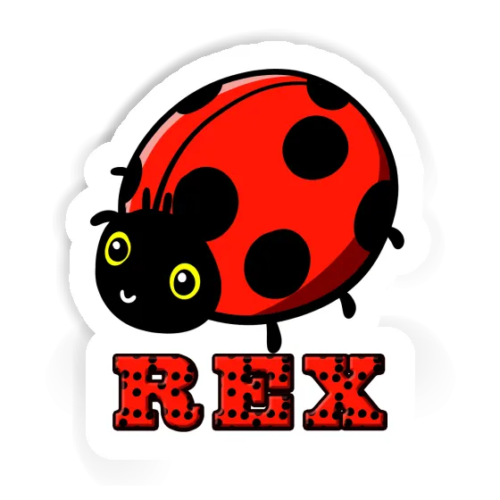 Aufkleber Marienkäfer Rex Notebook Aufkleber Marienkäfer Rex Notebook Image