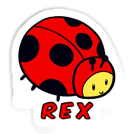 Rex Aufkleber Marienkäfer Gift package Image