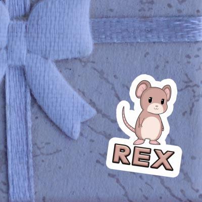 Aufkleber Rex Maus Gift package Image
