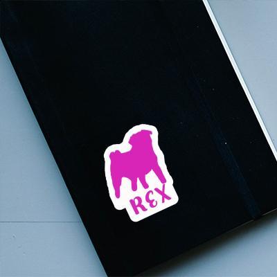 Sticker Rex Pug Notebook Sticker Rex Pug Gift package Image