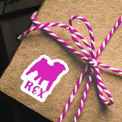Autocollant Carlin Rex Notebook Autocollant Carlin Rex Gift package Image
