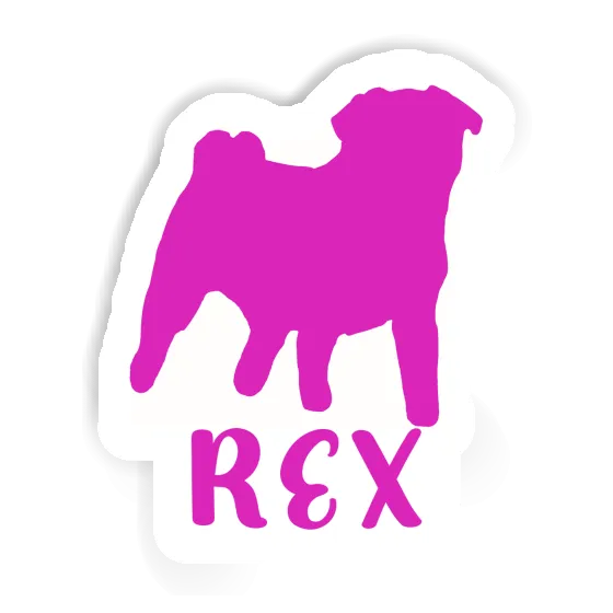Sticker Rex Pug Notebook Sticker Rex Pug Gift package Image